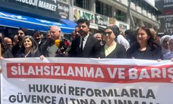 İHD Van Şubesi’nden Barış Süreci Çağrısı