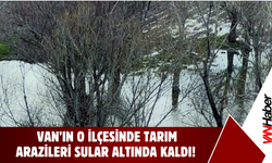 Erciş’te Tarım Arazileri Sular Altında Kaldı!