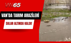 Erciş’te Tarım Arazileri Sular Altında Kaldı!