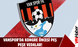 Vanspor’da Kongre Öncesi Peş Peşe Ayrılıklar!