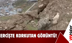 Erciş’te Korkutan Görüntü: Köylüler Tedirgin!