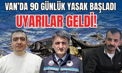 İnci Kefali İçin 90 Günlük Hayati Koruma Dönemi Başladı