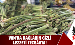 Dağların Gizli Lezzeti Tezgâhta! “Yayla Muzu” İthal Muzdan Daha Pahalı