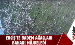 Erciş’te Badem Ağaçları Baharı Müjdeledi!