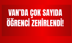 Van’da Okul Yemeğinden Sonra 8 Öğrenci Zehirlenerek Hastaneye Kaldırıldı!