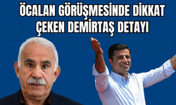 Öcalan Görüşmesinde Demirtaş Detayı!