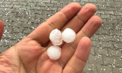 Tatvan’da Aniden Bastıran Dolu Hayatı Olumsuz Etkiledi