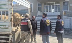 Van’ın Gevaş ilçesinde 14 koyunu çalan hırsız yakalandı