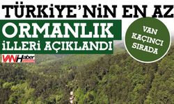 Türkiye’nin En Az Ormanlık İlleri Açıklandı! Van Kaçıncı Sırada