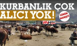 Kurbanlık Çok Alıcı Yok!