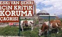 Eski Van Şehri İçin Kritik Koruma Çağrısı