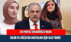 AK Partili Ensarioğlu’ndan Rojin ve Gülistan Dosyaları İçin Olay İddia!