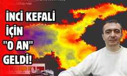 Uzmanı açıkladı! İnci Kefali İçin "O An" Geldi!