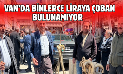 Van’da 120 bin liraya çoban bulunamıyor