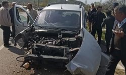 Van Gevaş’ta kamyonet direğe çarptı: 1’i çocuk 4 yaralı