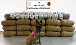 Van’da tonlarca ele geçirildi