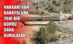 Hakkari-Van karayoluna yeni bir köprü daha yapılacak!