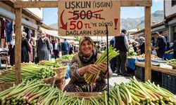 Van’da Dağların Altını “Uçkun” Fiyatlarında Şok Düşüş! 500 TL’ydi, 50 TL’ye düştü