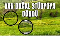 Bunu Gören Van’a Bilet Alıyor! Edremit ve Gevaş Doğal Stüdyoya Döndü!