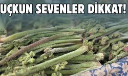 Uçkun Sevenlere Uyarı: 3 Faydası Var, Fazlası Zararlı Olabilir