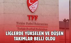 TFF Kararları Resmileşti: Liglerde Yükselen ve Düşen Takımlar Belli Oldu