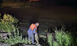 Van’da Kaçak Avcı Operasyonu: 1 Ton Ölü İnci Kefali İmha Edildi
