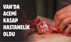 Van’da acemi kasap hastanelik oldu