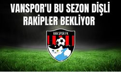 Vanspor’a Dişli Rakipler! Süper Lig’den Düştüler, Yeni Sezonda Rakip Oldular
