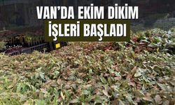 Van’da Ekim Dikim İşleri Başladı