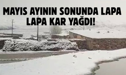 Van'da Mayıs Ayının Sonunda Lapa Lapa Kar Yağdı!