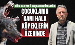 Sayğın: Çocuğa saldıran köpeklerin üzerinde hala çocukların kanı var!