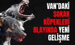 Van’da Sokak Köpekleri Olayında Sıcak Gelişme! Belediye İşçisi Serbest Bırakıldı!