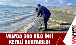 Van Gölü’nde Kaçak Avcılığa Darbe!