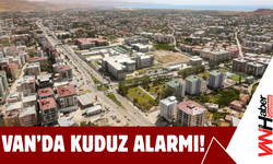 Van’da Kuduz Alarmı!