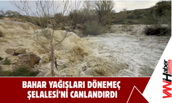 Bahar Yağışları Dönemeç Şelalesi’ni Canlandırdı!