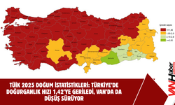 Türkiye’de Doğurganlık Hızı 1,42’ye Geriledi, Van’da Da Düşüş Sürüyor