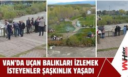 Van’da Uçan Balıkları İzlemek İsteyenler Şaşkınlık Yaşadı!