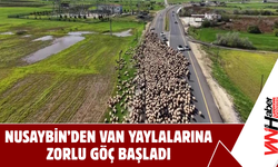 Nusaybin’den Van Yaylalarına Zorlu Göç Başladı!
