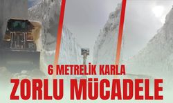 6 Metrelik Karla Zorlu Mücadele