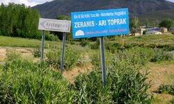 Van'da Kuduz Alarmı: Bir Mahalle Karantinaya Alındı