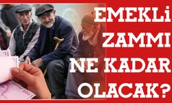Mayıs Enflasyonu Açıklandı: Emekli Zammı Ne Kadar Olacak?
