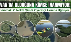 Van'da Olduğuna Kimse İnanmıyor! Dilkaya Deltası