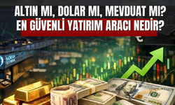 Altın Mı, Dolar Mı, Mevduat Mı? En Güvenli Yatırım Aracı Nedir?