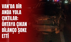 Van’da Bir Anda Yola Çıktılar: Ortaya Çıkan Bilanço Şoke Etti