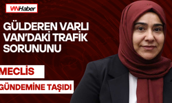 Gülderen Varlı Van’daki Trafik Sorununu Meclis Gündemine Taşıdı