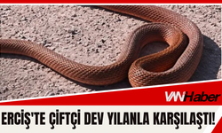 Erciş'te Çiftçi Dev Yılanla Karşılaştı!