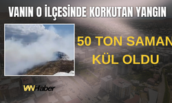 Erciş'te Korkutan Yangın! 50 Ton Saman Kül Oldu