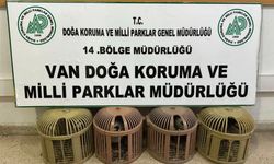 Van'da Jandarma Affetmedi: Kanatları Bağlı 4 Keklik Kurtarıldı, Avcıya Ceza Yağdı!