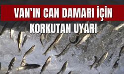 Van'ın 'Can Damarı' İçin Korkutan Uyarı!