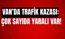 Van'da iki otomobil kafa kafaya çarpıştı: 5 yaralı